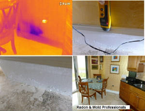 Infrared & digital photo of mold source